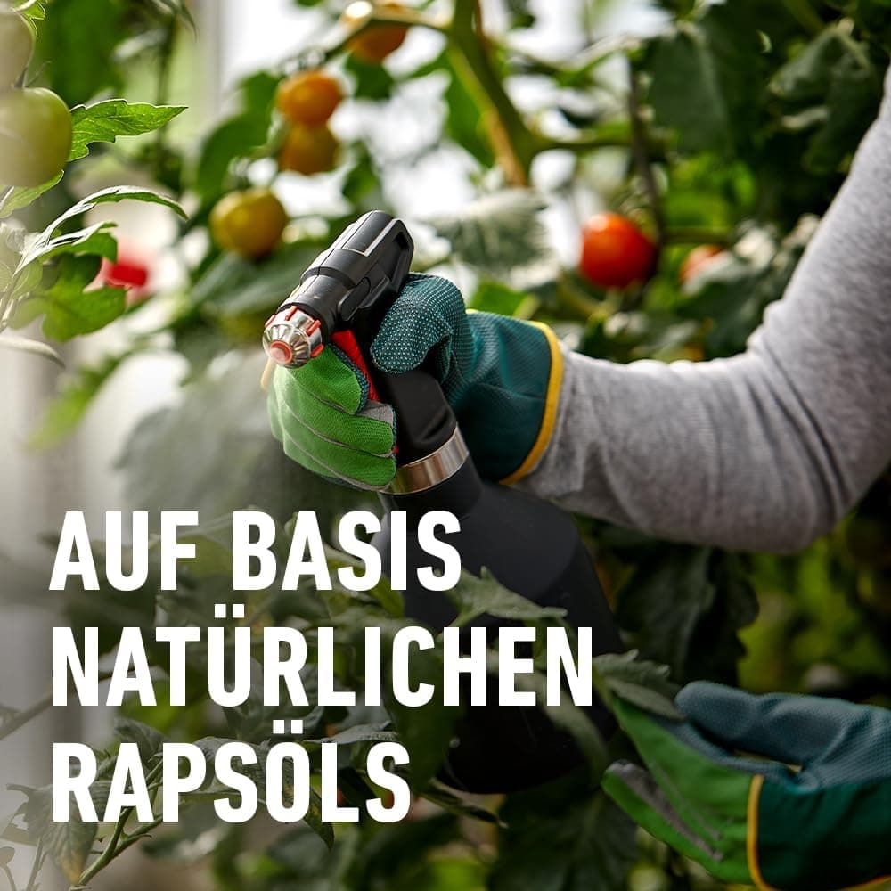 COMPO Schädlings-frei plus AF - Spray gegen Blattläuse, Schildläuse, Wollläuse, Buchsbaumzünsler &amp; Co. - für Zierpflanzen und Kernobst - 500 ml - anwendungsfertiges Insektizid