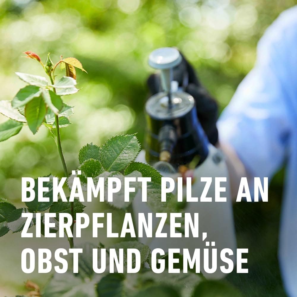 Compo Duaxo Universal Pilz-frei AF, Bekämpfung von Pilzkrankheiten an Zierpflanzen, Gemüse und Kräutern, Anwendungsfertig, 750 ml