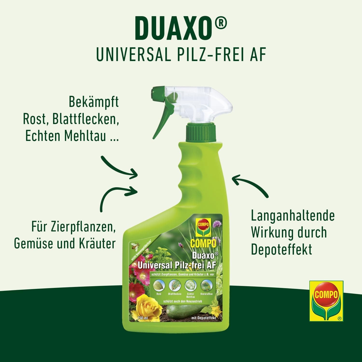 Compo Duaxo Universal Pilz-frei AF, Bekämpfung von Pilzkrankheiten an Zierpflanzen, Gemüse und Kräutern, Anwendungsfertig, 750 ml