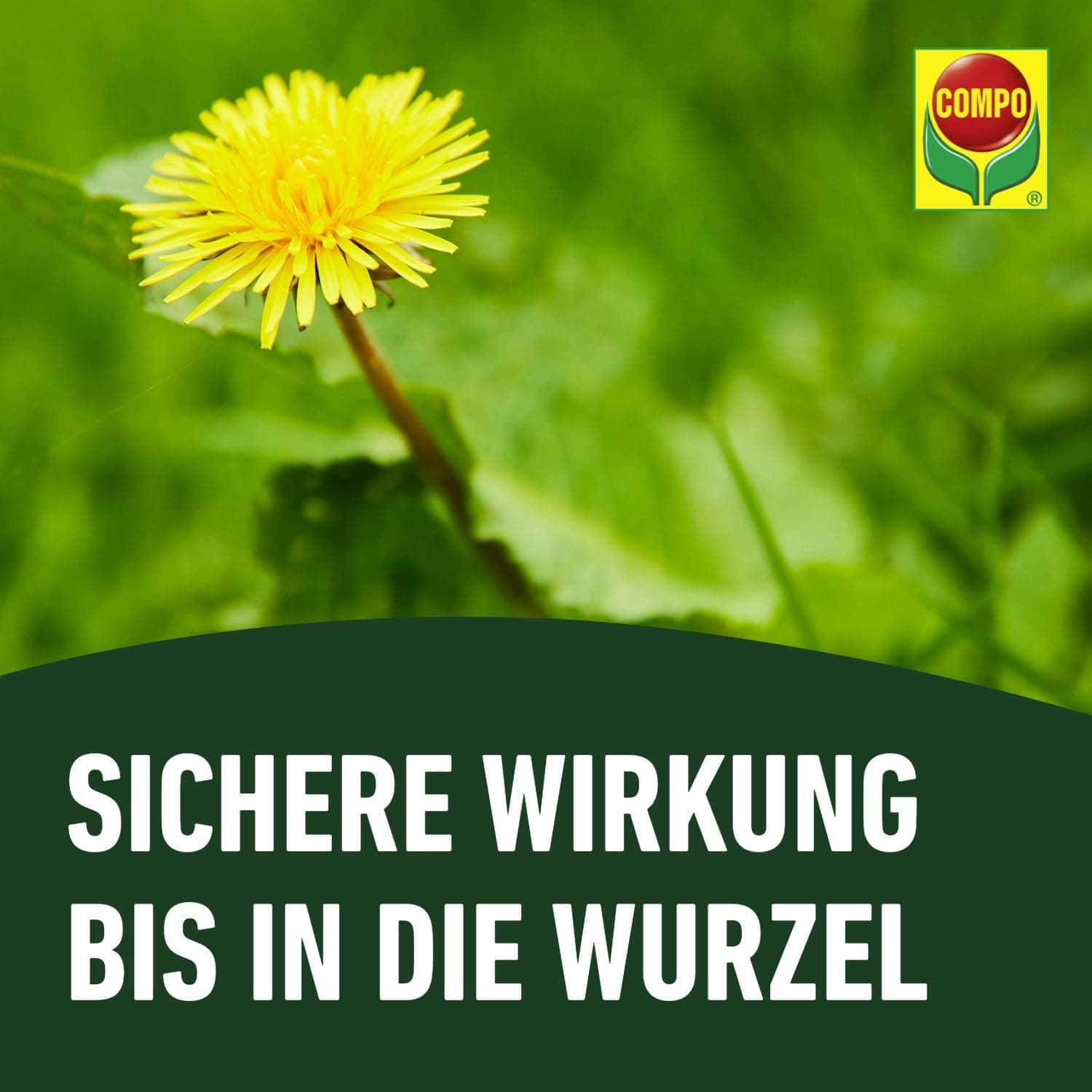 COMPO Rasenunkraut-Vernichter Banvel Quattro, Bekämpfung von schwerbekämpfbaren Unkräutern im Rasen, Konzentrat, 400 ml (400 m²)