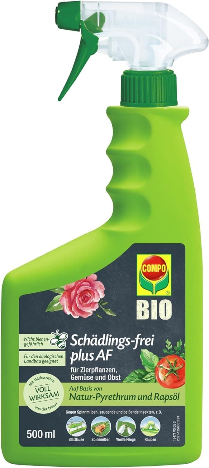 COMPO Schädlings-frei plus AF - Spray gegen Blattläuse, Schildläuse, Wollläuse, Buchsbaumzünsler &amp; Co. - für Zierpflanzen und Kernobst - 500 ml - anwendungsfertiges Insektizid