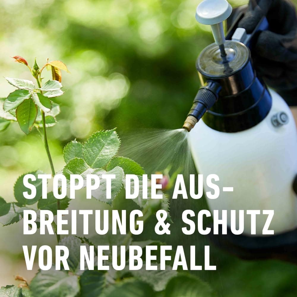 Compo Duaxo Universal Pilz-frei AF, Bekämpfung von Pilzkrankheiten an Zierpflanzen, Gemüse und Kräutern, Anwendungsfertig, 750 ml
