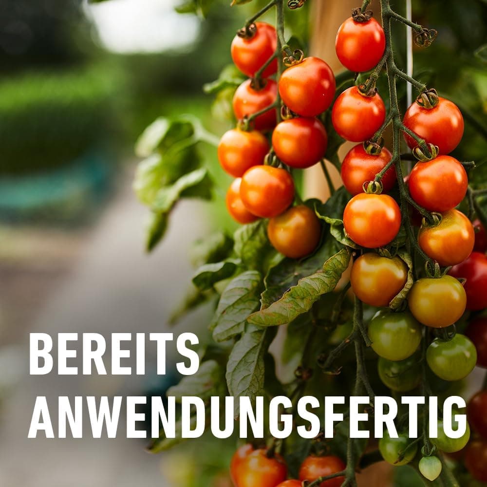COMPO Schädlings-frei plus AF - Spray gegen Blattläuse, Schildläuse, Wollläuse, Buchsbaumzünsler &amp; Co. - für Zierpflanzen und Kernobst - 500 ml - anwendungsfertiges Insektizid