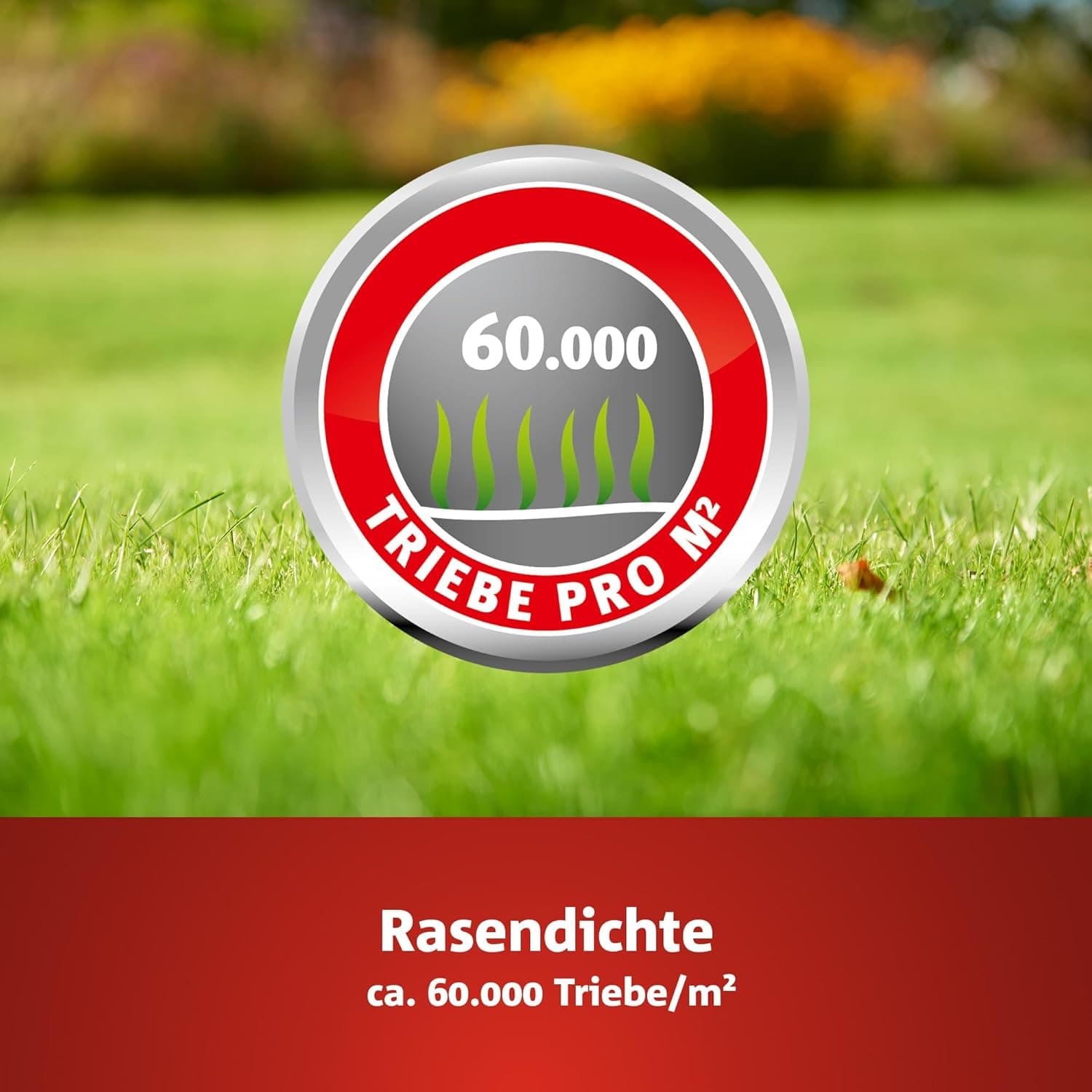 WOLF-Garten Sport- &amp; Spielrasen LG 125 (für 125 m², schnell nutzbar &amp; trittfest, strapazierfähiger Rasen für Sport- &amp; Spielplätze, Hausgarten, für alle Bodenarten geeignet, im 2,5 kg Beutel) 3825020