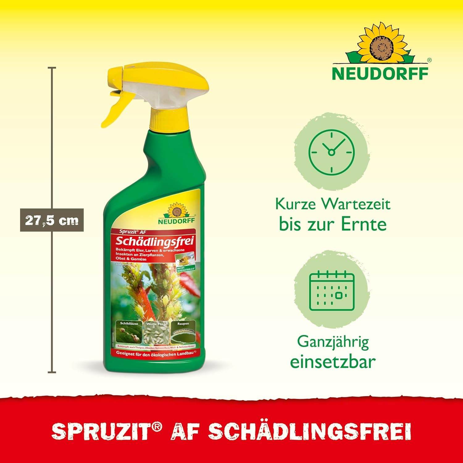 Neudorff Spruzit AF Schädlingsfrei – Bekämpft Schädlinge wie Buchsbaumzünsler, Blattläuse, Thripse an Zierpflanzen, Gemüse, Obst und Kräutern, 500 ml