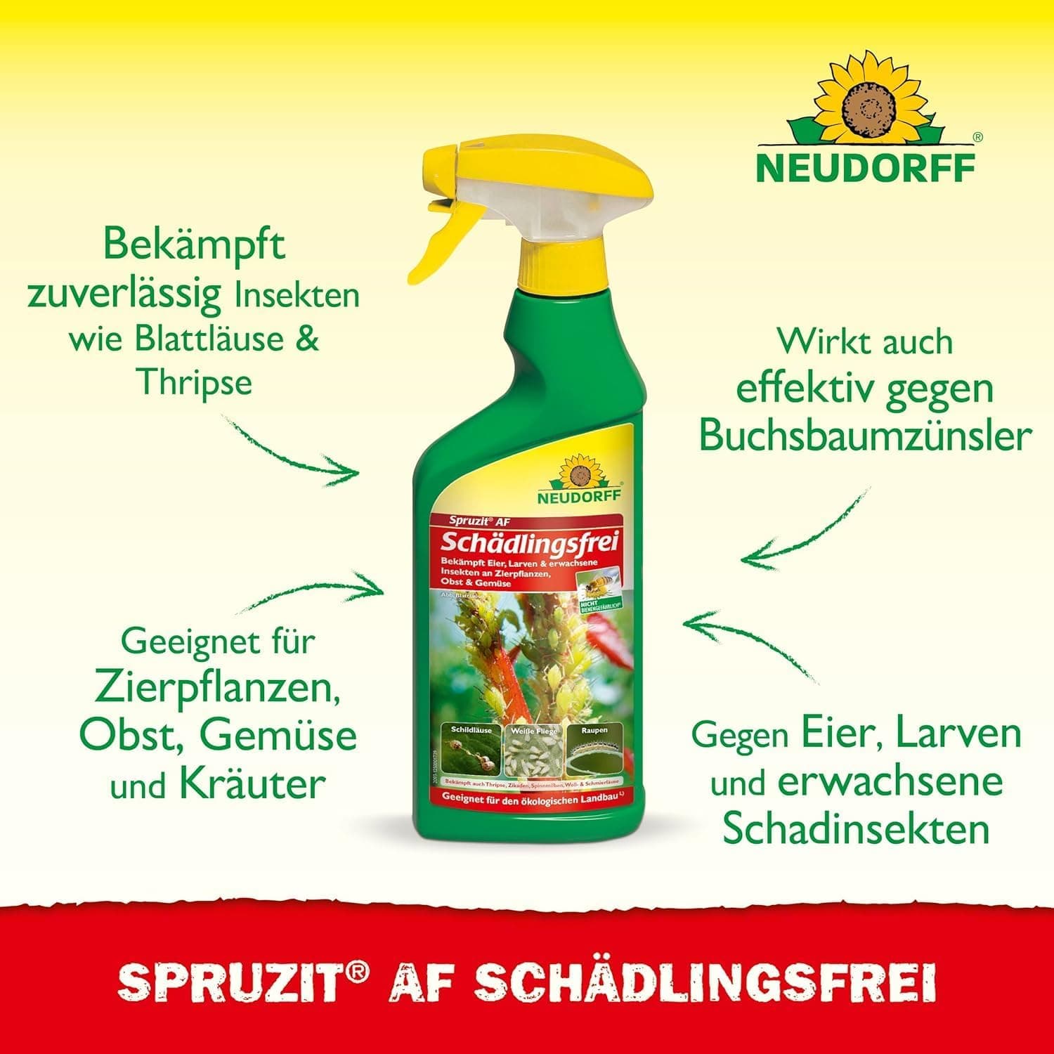 Neudorff Spruzit AF Schädlingsfrei – Bekämpft Schädlinge wie Buchsbaumzünsler, Blattläuse, Thripse an Zierpflanzen, Gemüse, Obst und Kräutern, 500 ml