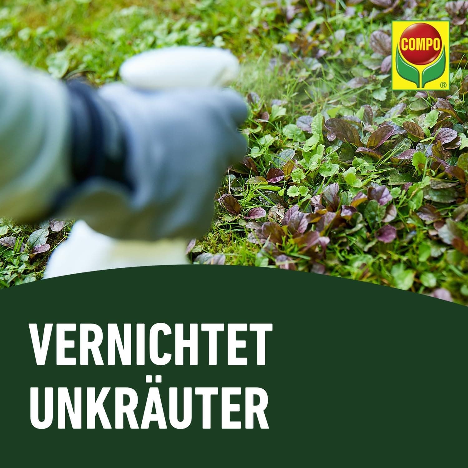 COMPO Rasenunkraut-Vernichter Banvel Quattro, Bekämpfung von schwerbekämpfbaren Unkräutern im Rasen, Konzentrat, 400 ml (400 m²)