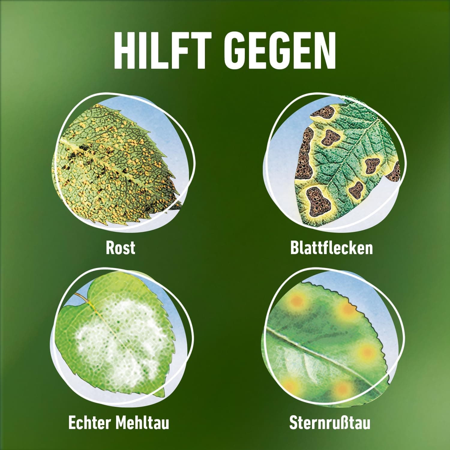 Compo Duaxo Universal Pilz-frei AF, Bekämpfung von Pilzkrankheiten an Zierpflanzen, Gemüse und Kräutern, Anwendungsfertig, 750 ml