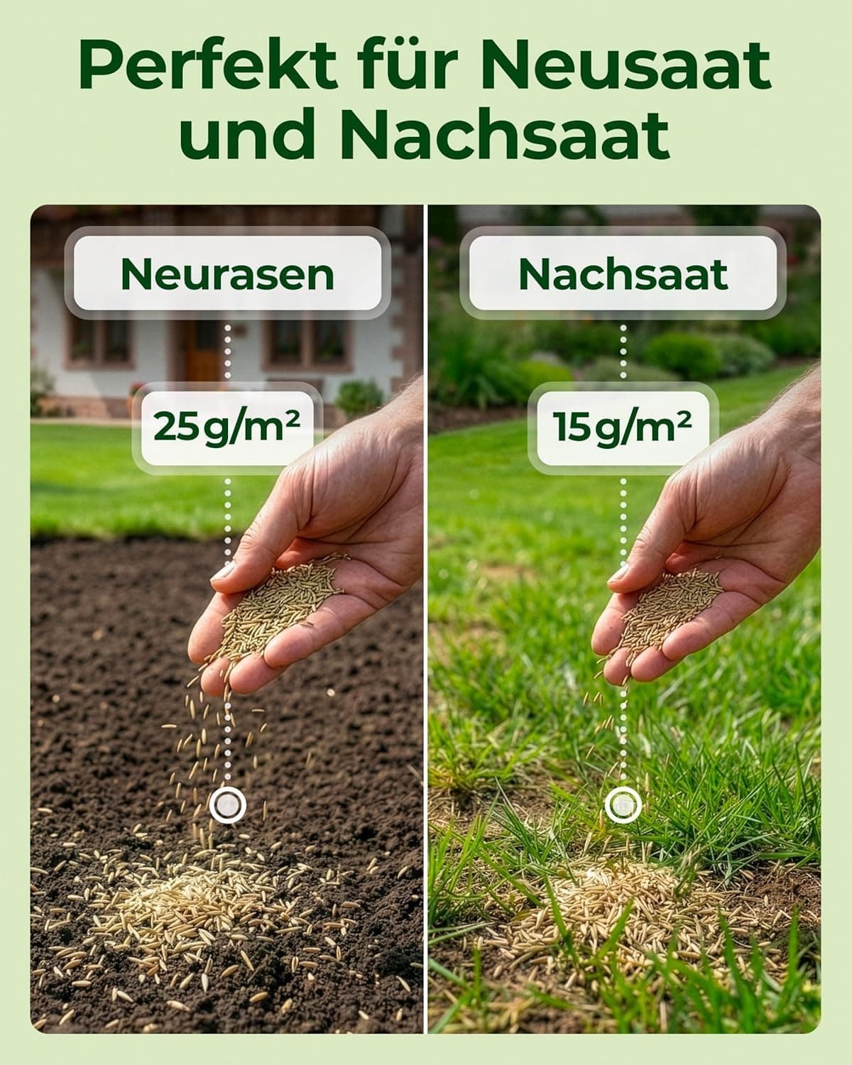 Rasensamen schnellkeimend Frühjahr &amp; Sommer 5kg – TEST SEHR GUT – Grassamen schnellkeimend Rasen Nachsaat Made in Germany – Rasensaat 200qm - Rasensamen Frühjahr &amp; Sommer Samen von Natureflow