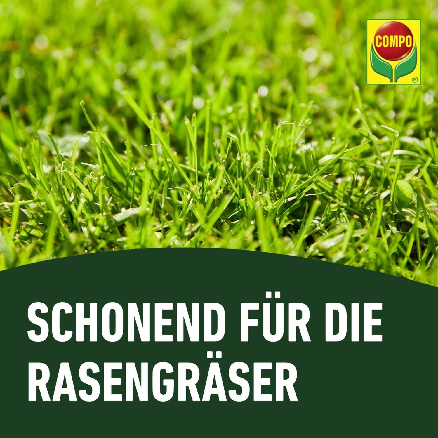 COMPO Rasenunkraut-Vernichter Banvel Quattro, Bekämpfung von schwerbekämpfbaren Unkräutern im Rasen, Konzentrat, 400 ml (400 m²)
