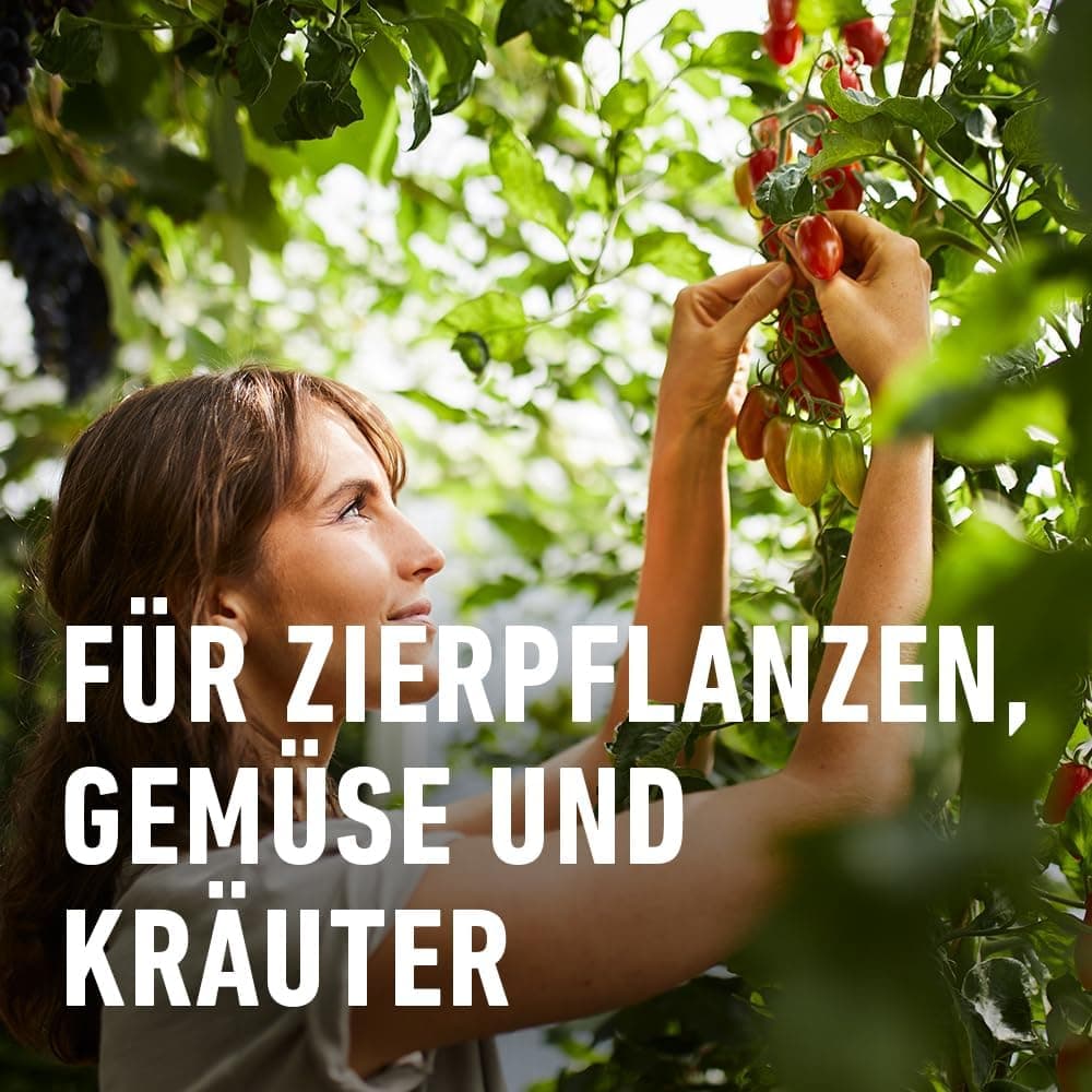 COMPO Schädlings-frei plus AF - Spray gegen Blattläuse, Schildläuse, Wollläuse, Buchsbaumzünsler &amp; Co. - für Zierpflanzen und Kernobst - 500 ml - anwendungsfertiges Insektizid