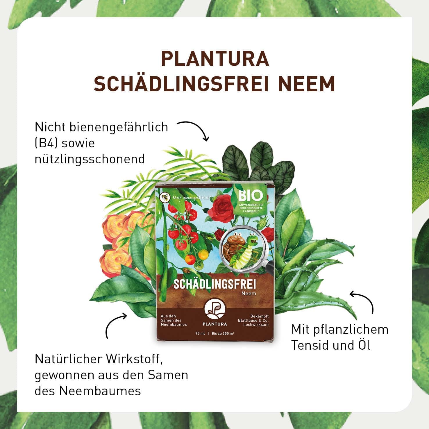 Plantura Bio-Schädlingsfrei Neem, effektive Schädlingsbekämpfung mit Neem, gegen Blattläuse, Thripse &amp; Co. an Gemüse, Kräutern &amp; Zierpflanzen, 75 ml Konzentrat für bis zu 25 L (300 m²)