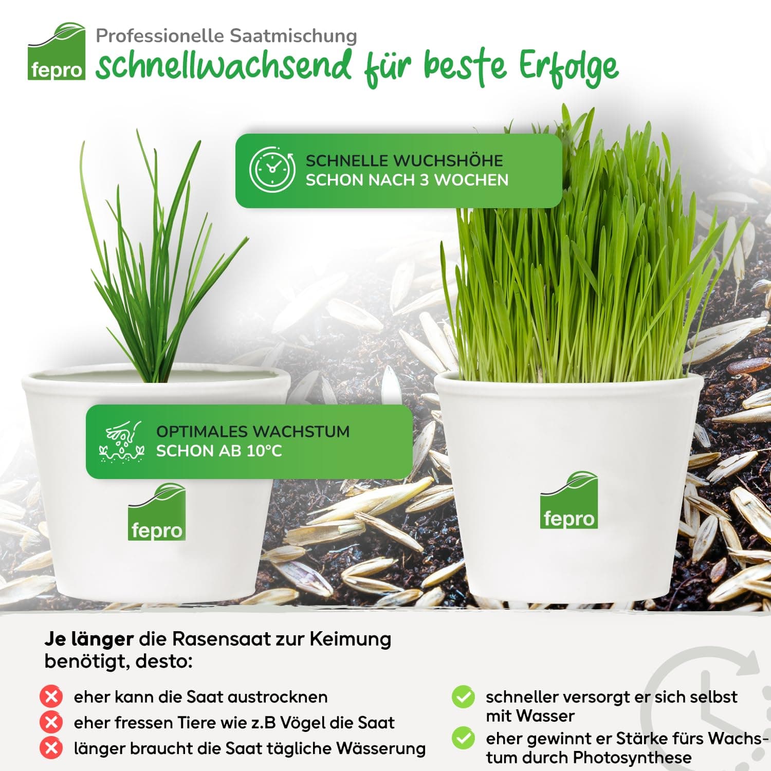 5kg Rasensamen Sport und Spiel schnellkeimend 200m², robust, tiefgrün, ideal für Neuansaat und Nachsaat, Rasensaat Grassamen Frühjahr