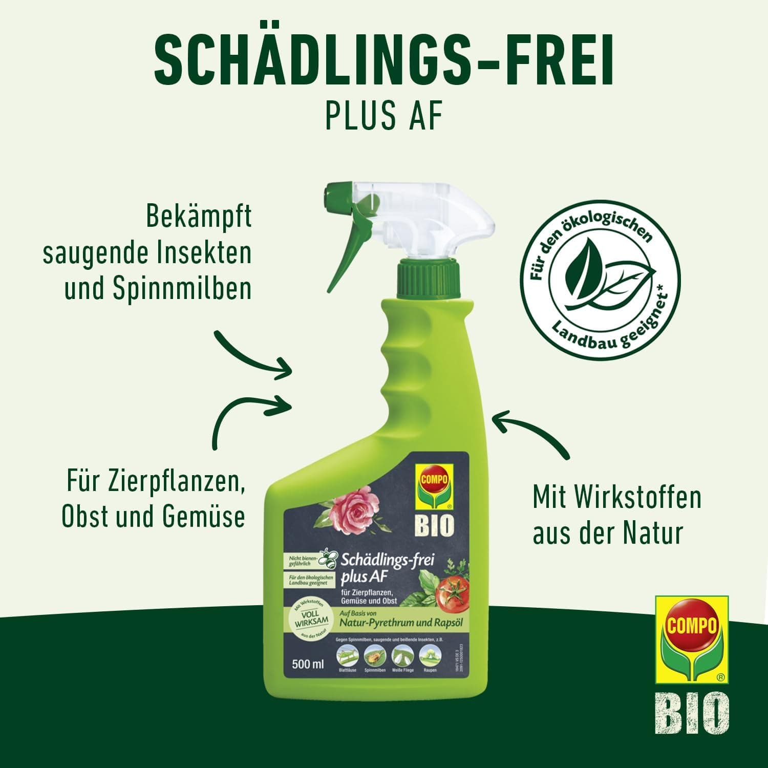 COMPO Schädlings-frei plus AF - Spray gegen Blattläuse, Schildläuse, Wollläuse, Buchsbaumzünsler &amp; Co. - für Zierpflanzen und Kernobst - 500 ml - anwendungsfertiges Insektizid