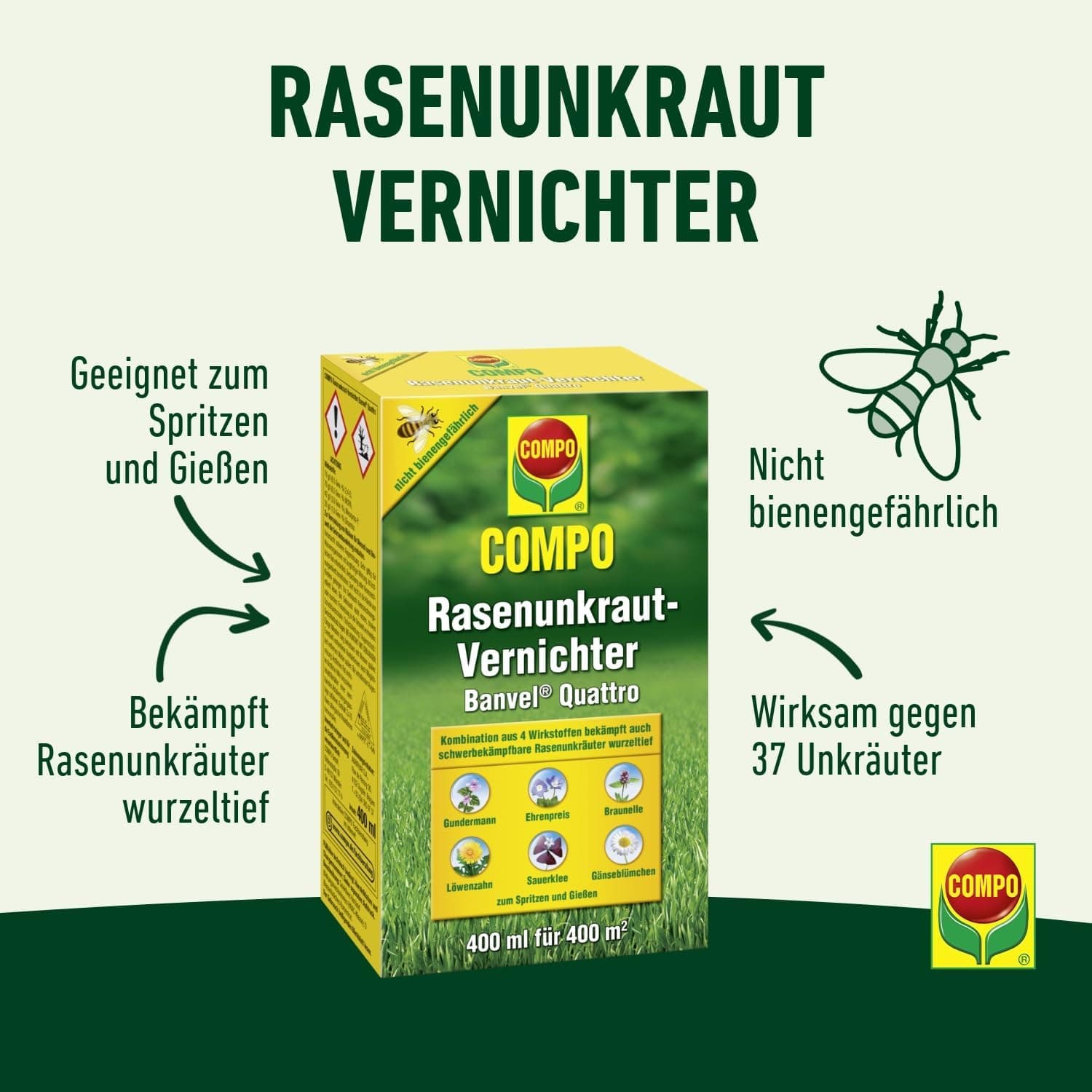 COMPO Rasenunkraut-Vernichter Banvel Quattro, Bekämpfung von schwerbekämpfbaren Unkräutern im Rasen, Konzentrat, 400 ml (400 m²)