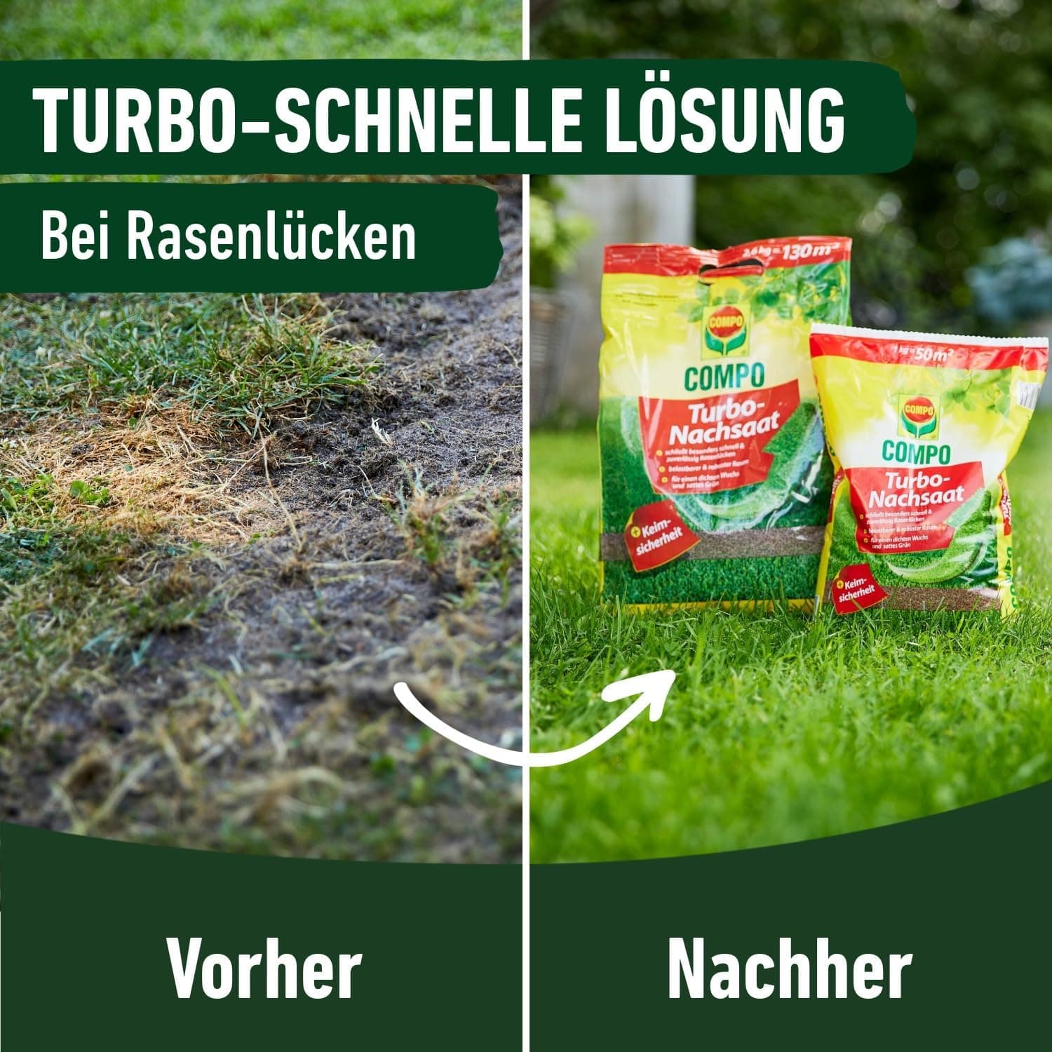 COMPO Turbo Nachsaat, Rasensamen, Schließt besonders schnell und zuverlässig Lücken im Rasen, Mit Keimsicherheit, 1 kg, 50 m²