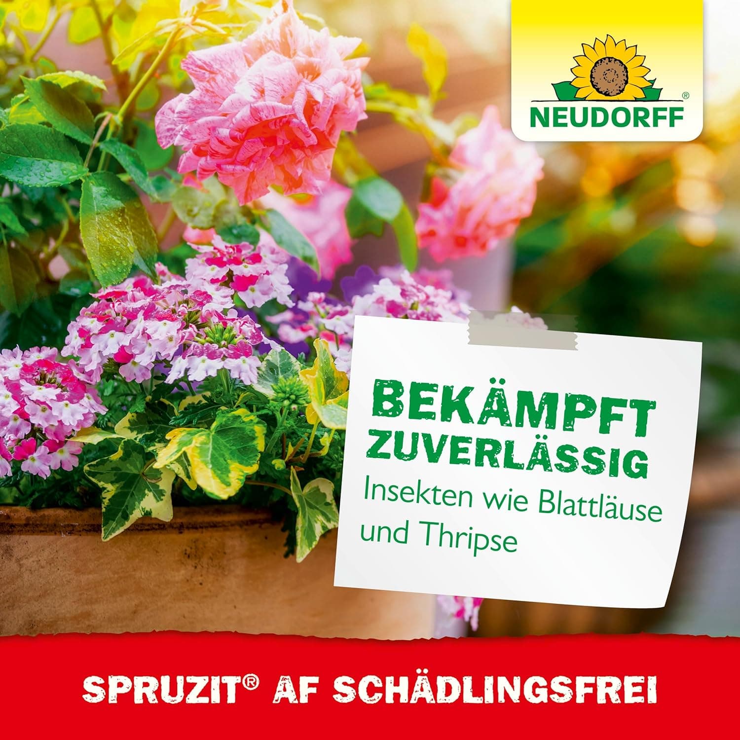 Neudorff Spruzit AF Schädlingsfrei – Bekämpft Schädlinge wie Buchsbaumzünsler, Blattläuse, Thripse an Zierpflanzen, Gemüse, Obst und Kräutern, 500 ml