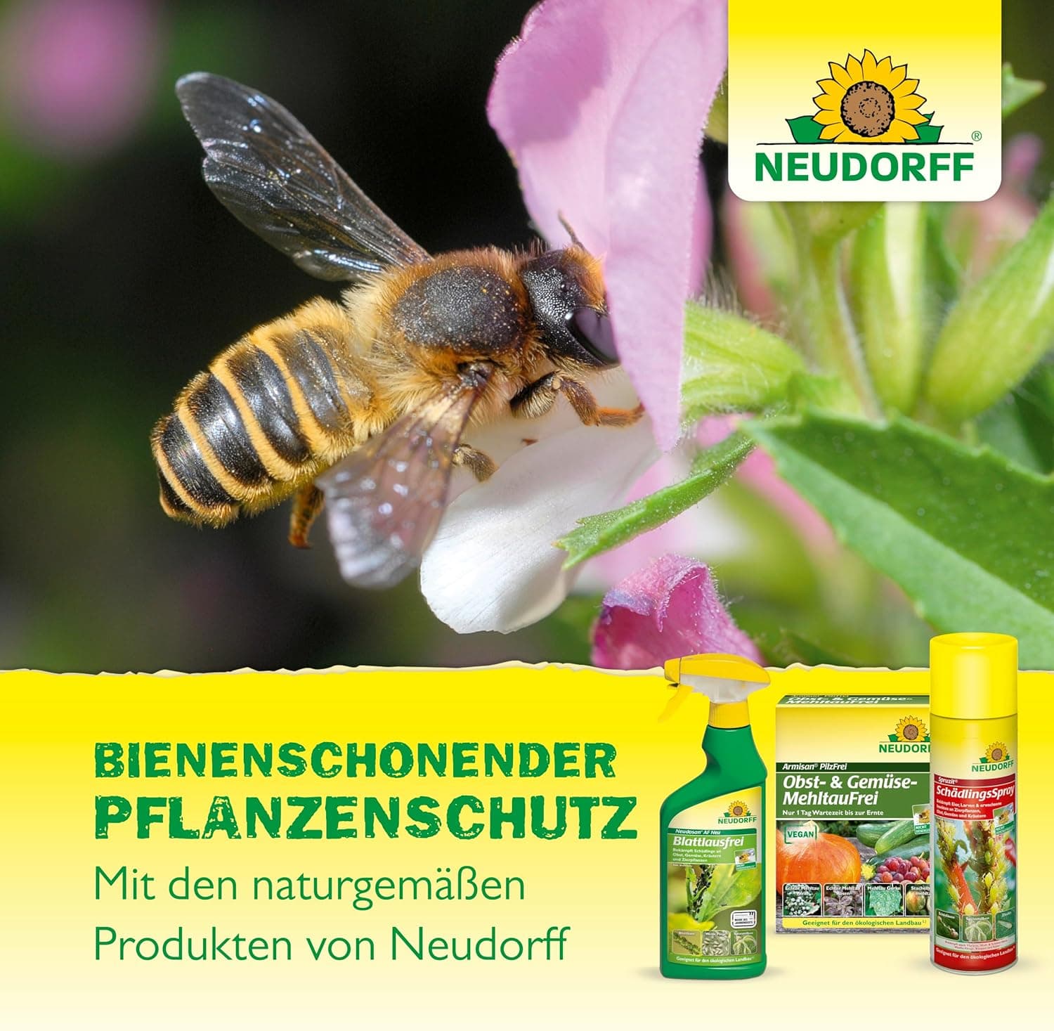 Neudorff Spruzit AF Schädlingsfrei – Bekämpft Schädlinge wie Buchsbaumzünsler, Blattläuse, Thripse an Zierpflanzen, Gemüse, Obst und Kräutern, 500 ml