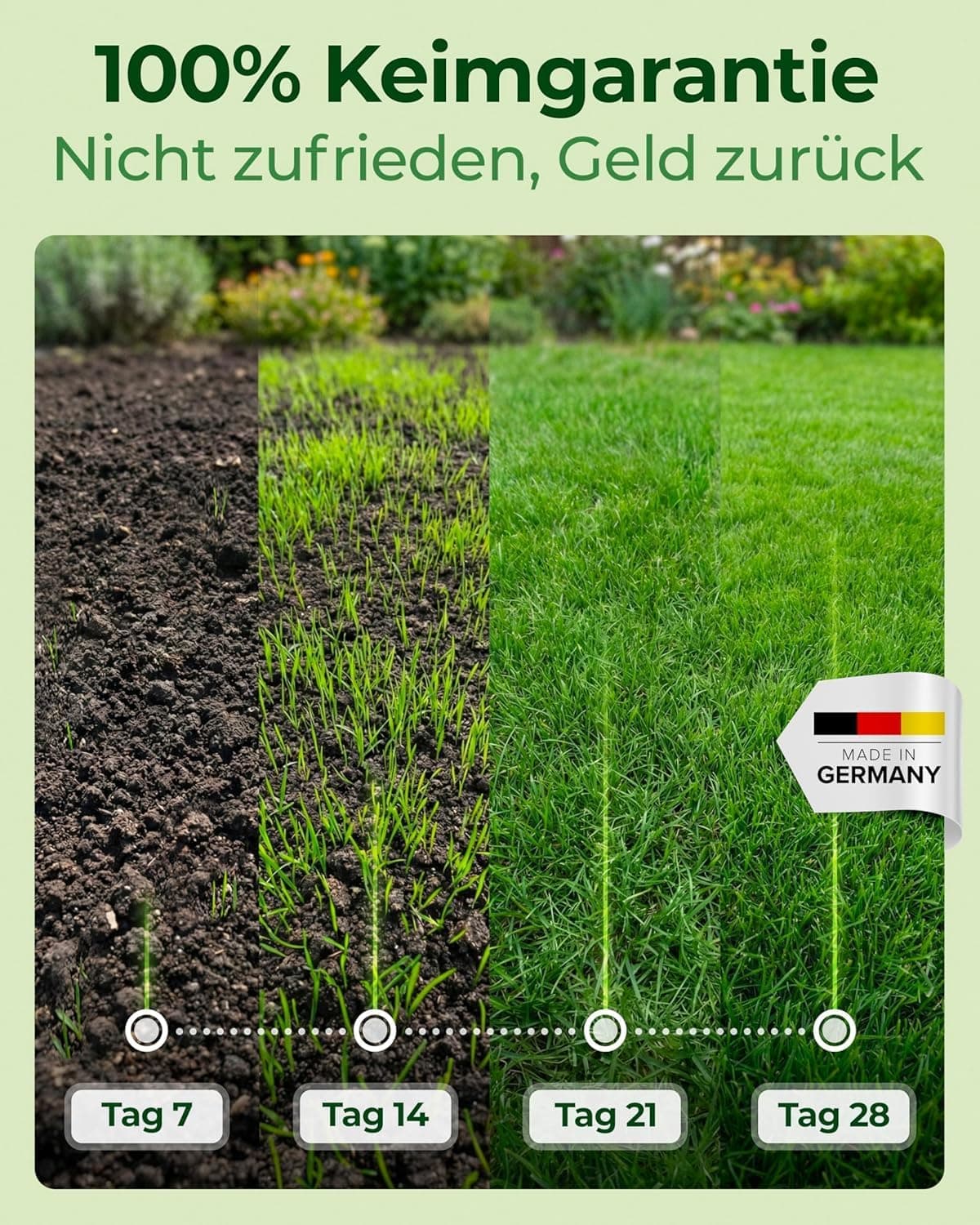 Rasensamen schnellkeimend Frühjahr &amp; Sommer 5kg – TEST SEHR GUT – Grassamen schnellkeimend Rasen Nachsaat Made in Germany – Rasensaat 200qm - Rasensamen Frühjahr &amp; Sommer Samen von Natureflow