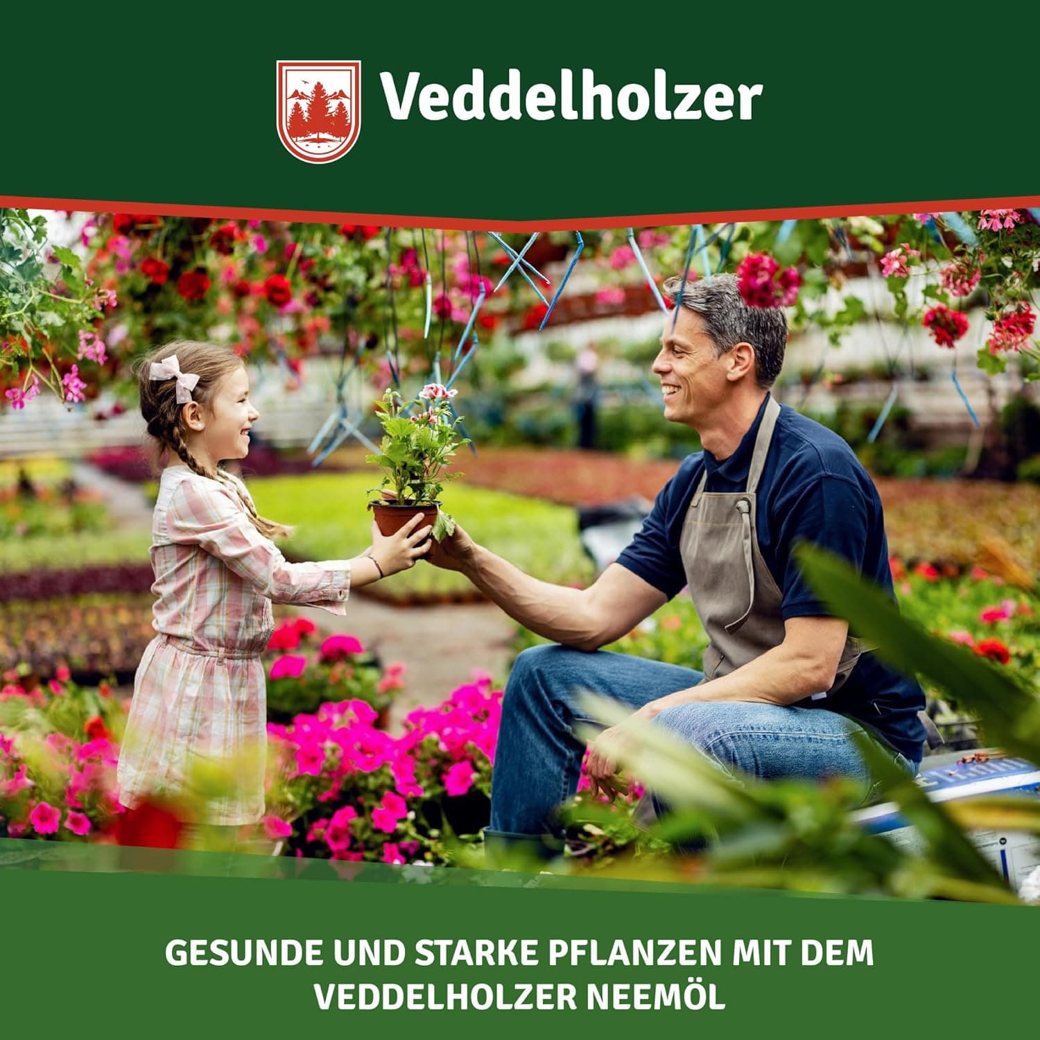 Veddelholzer 1000 ml Premium kaltgepresstes 100% natürliches Neemöl Komplett Set mit natürlichem Emulgator + Sprühflasche 500 ml &amp; 2 Messbecher natürliche Pflanzenpflege für drinnen &amp; draußen