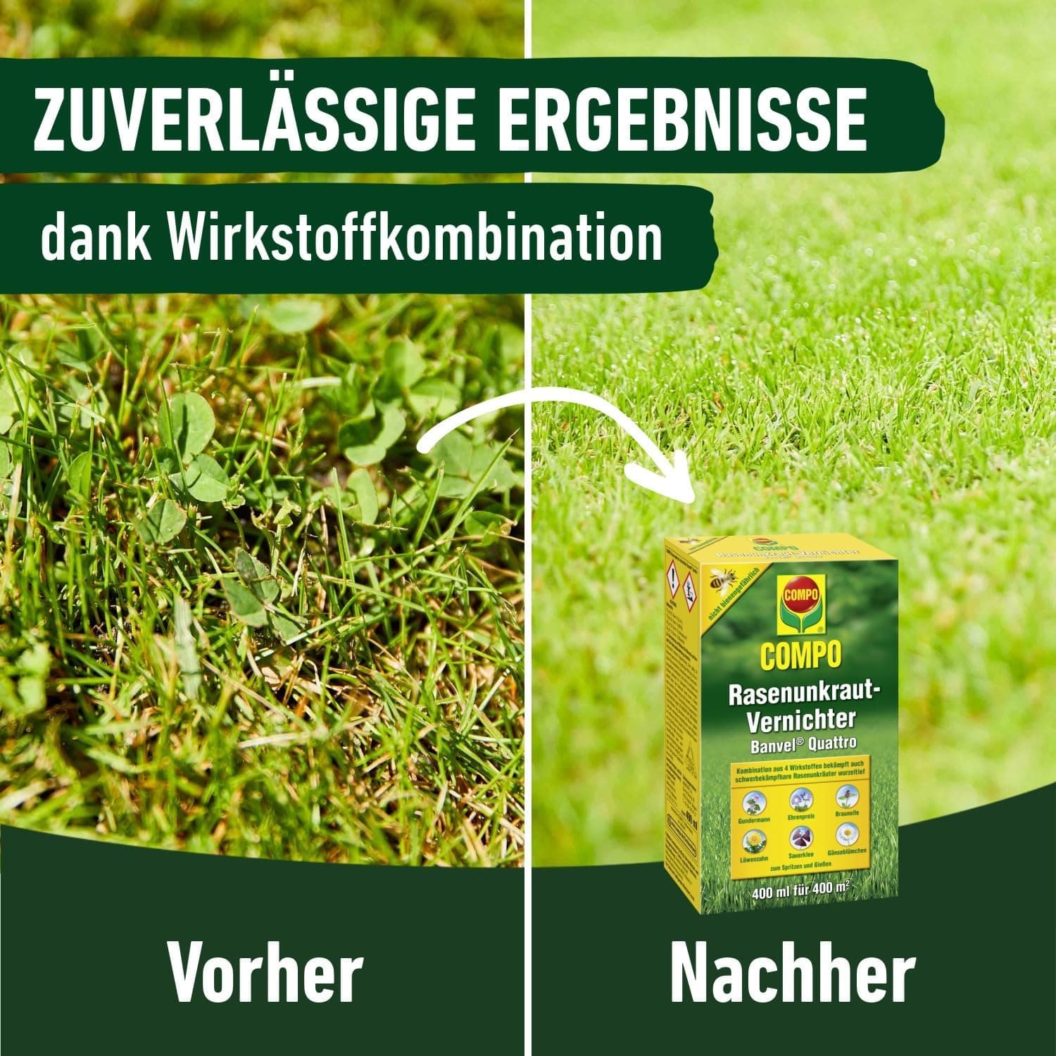 COMPO Rasenunkraut-Vernichter Banvel Quattro, Bekämpfung von schwerbekämpfbaren Unkräutern im Rasen, Konzentrat, 400 ml (400 m²)