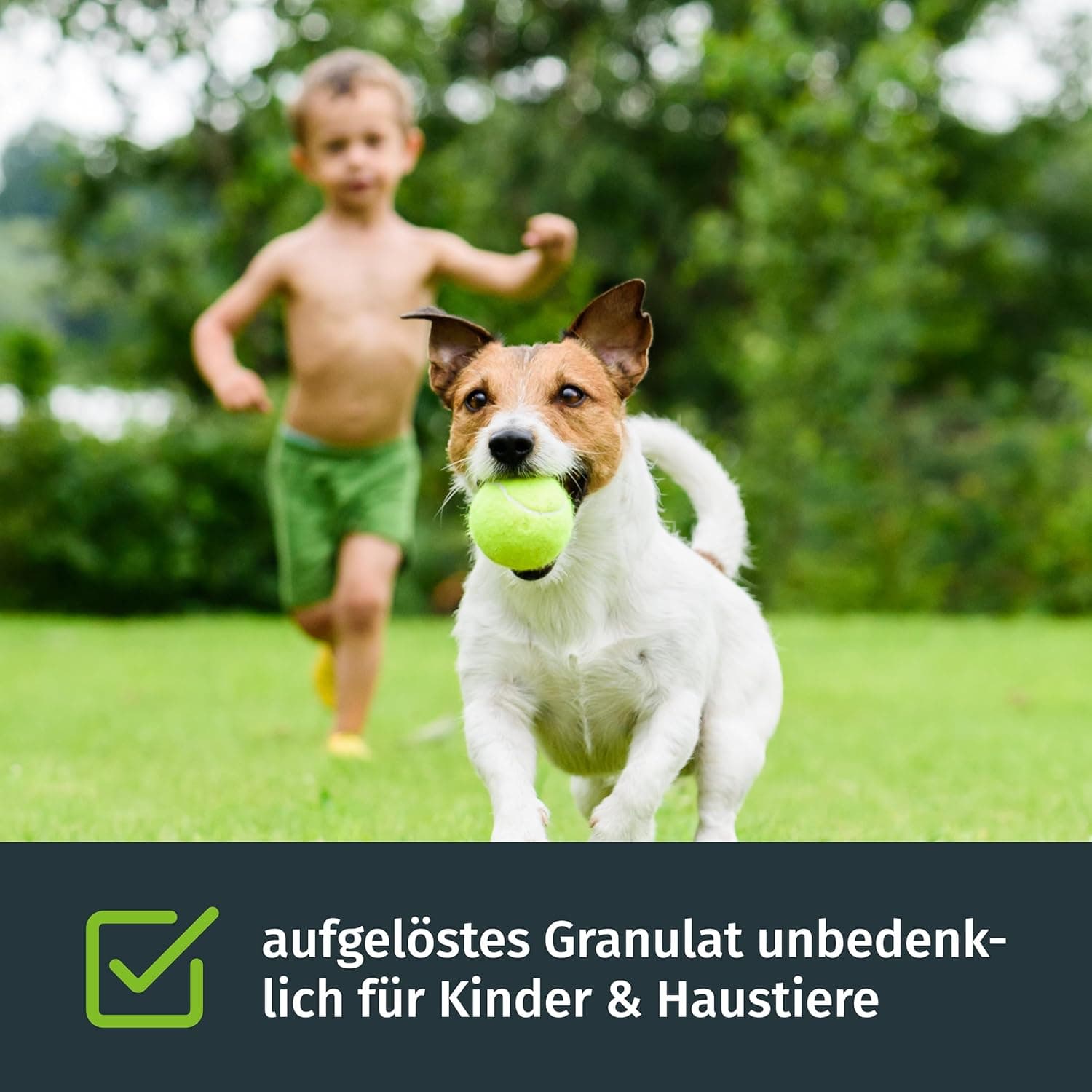 Turbogrün Rasendünger Sommer 20kg, gesunder Rasen verdrängt Moos, Ideal im Sommer, geeignet für Streuwagen, staubarmes Granulat, Rasen dünger, Rasenpflege