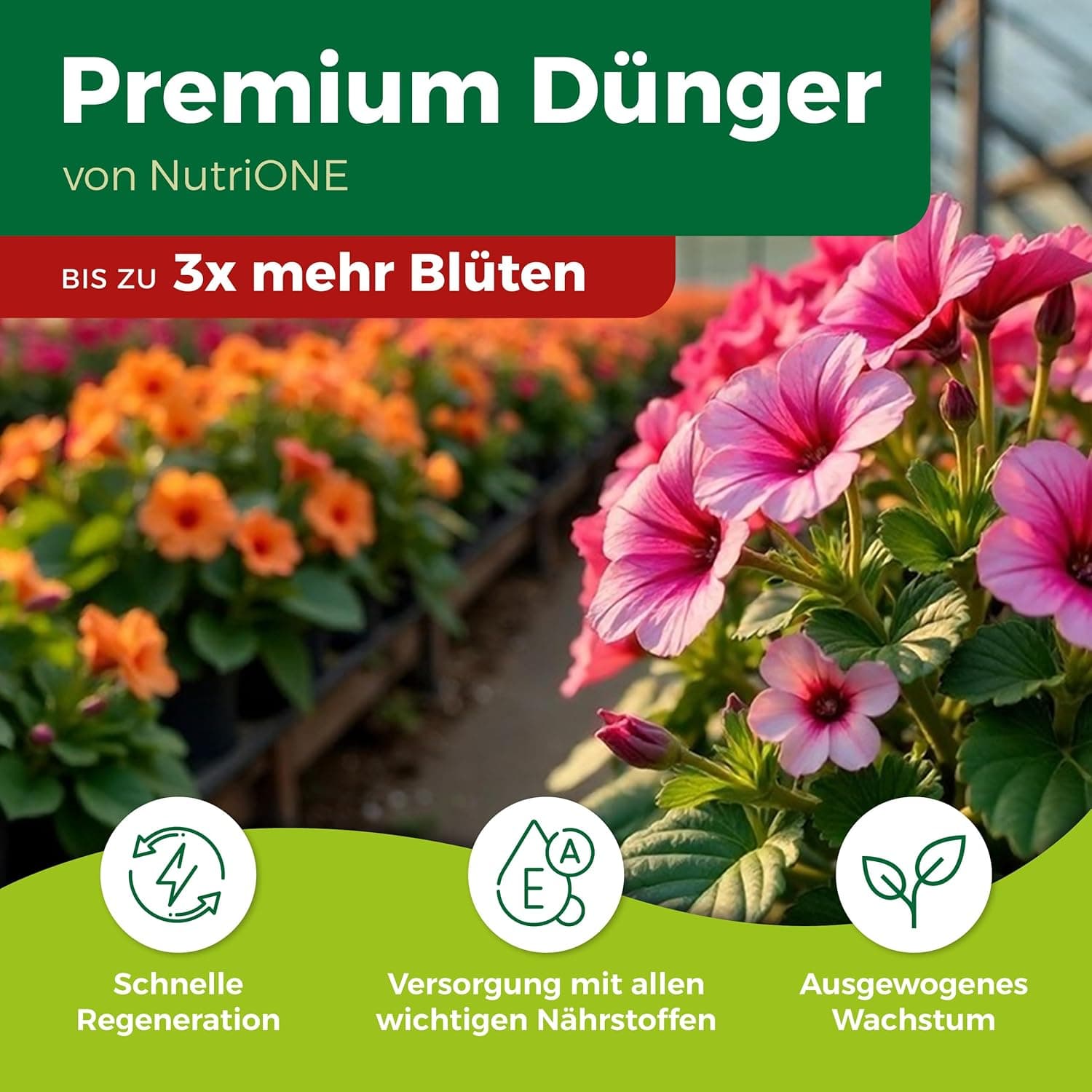 PROTECT GARDEN Lizetan Plus Combistäbchen, Langzeit-Schädlingsfrei und Premium-Dünger in Einem, 20 Stück