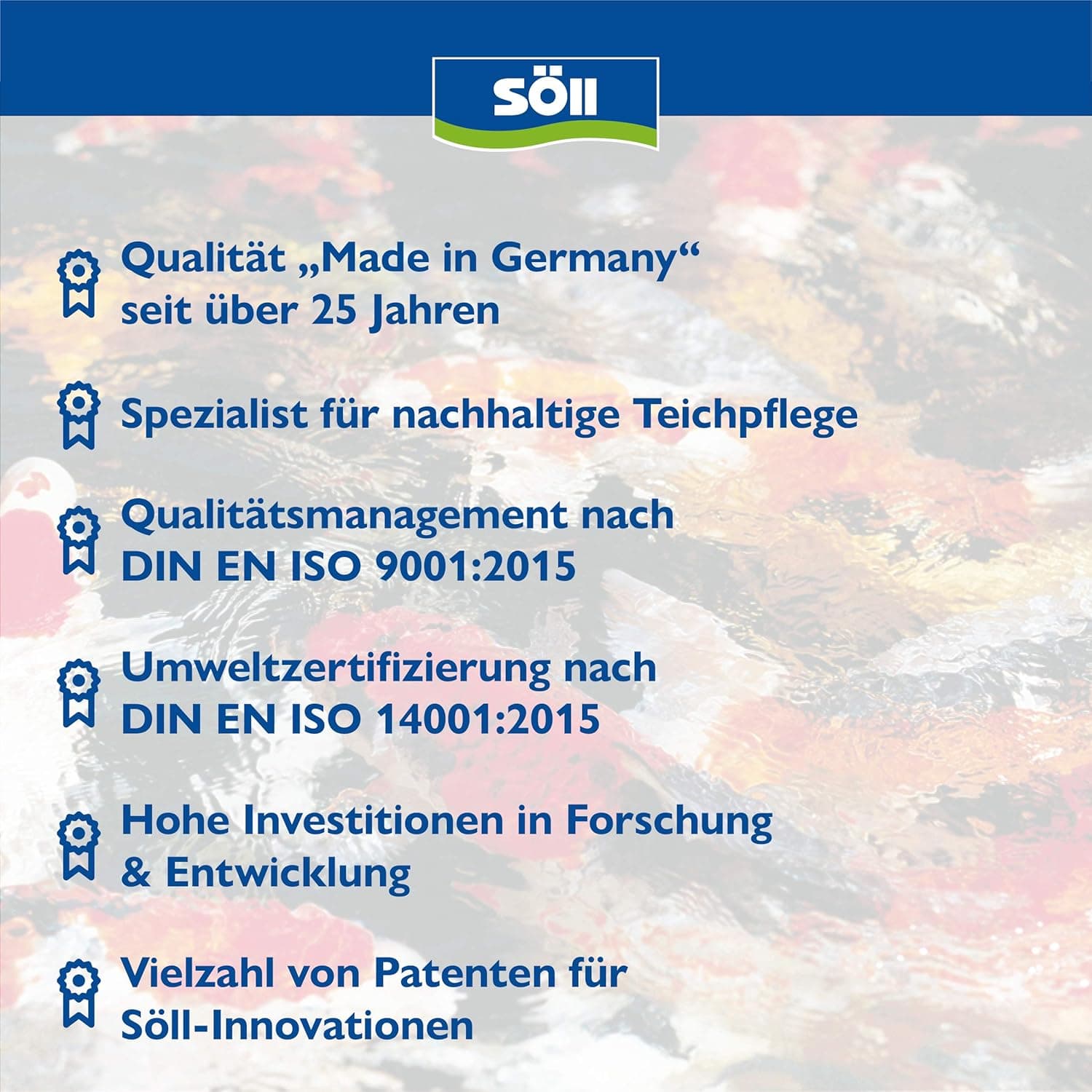 Söll 81456 AquaDes 2,5 l - Pool-Desinfektion, Poolreinigung, Wasserpflege gegen Bakterien und Keime, Desinfektionmittel für Pool Planschbecken Schwimmbecken Kinderpool
