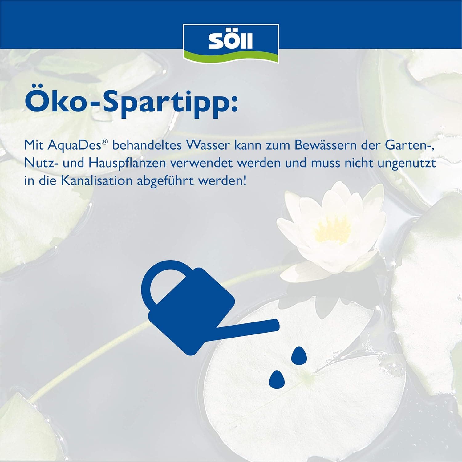 Söll 81456 AquaDes 2,5 l - Pool-Desinfektion, Poolreinigung, Wasserpflege gegen Bakterien und Keime, Desinfektionmittel für Pool Planschbecken Schwimmbecken Kinderpool