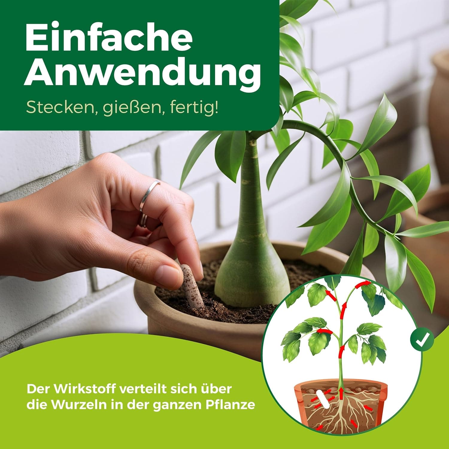 PROTECT GARDEN Lizetan Plus Combistäbchen, Langzeit-Schädlingsfrei und Premium-Dünger in Einem, 20 Stück
