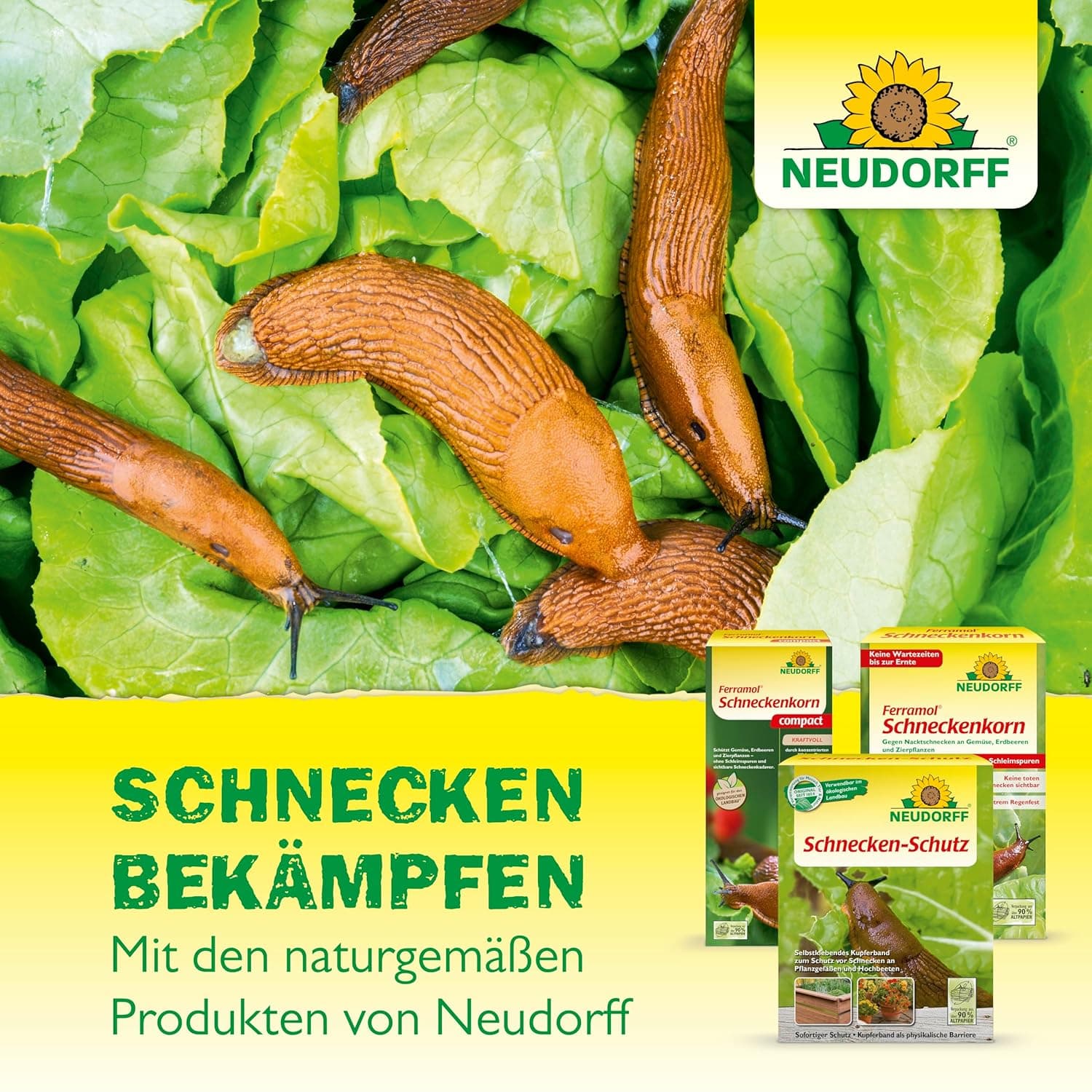 Neudorff Ferramol Schneckenkorn – Zuverlässiger und schneller Schneckenschutz - Extrem Regenfest. Keine toten Schnecken sichtbar, keine Schleimspuren. Schonende Rezeptur, 1 kg