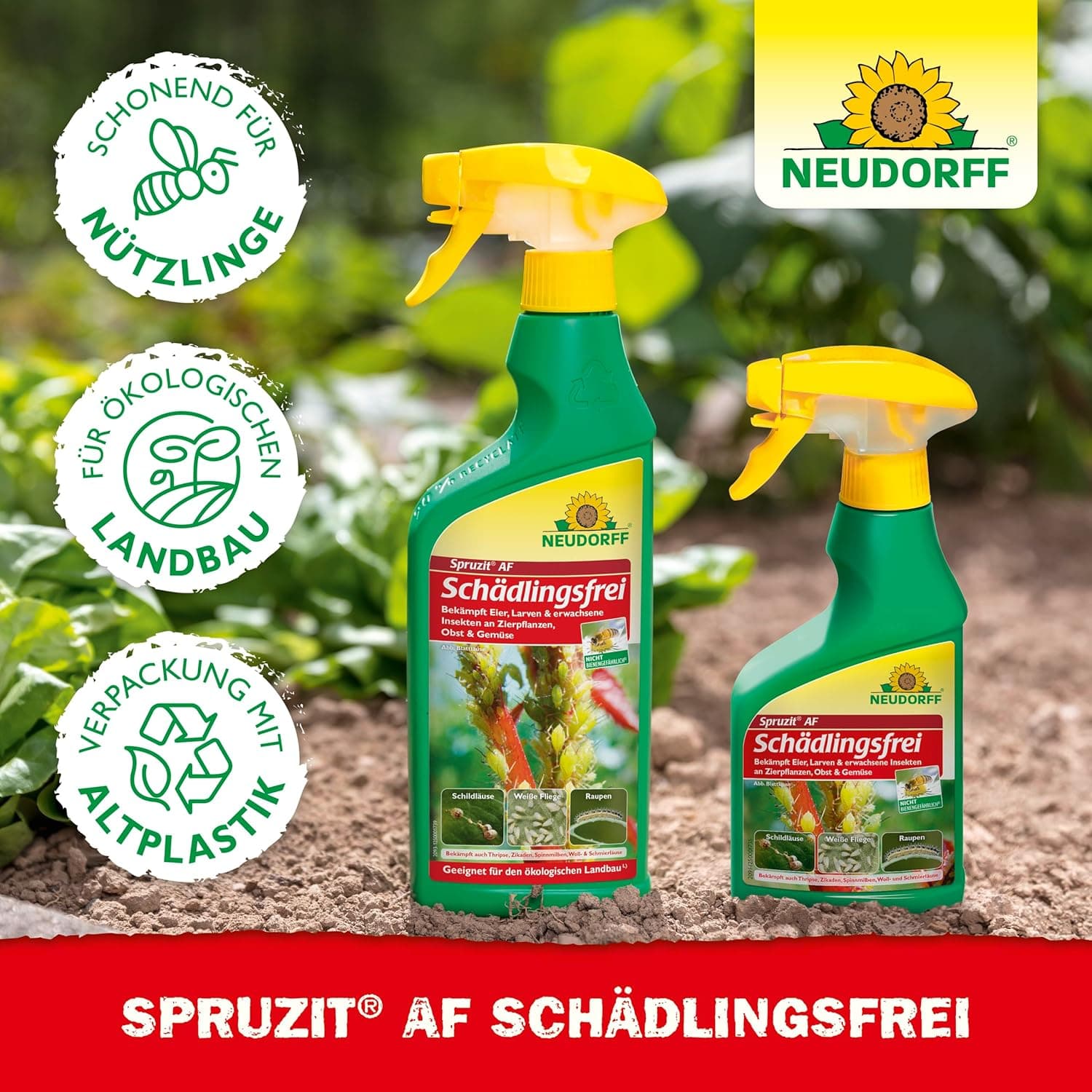 Neudorff Spruzit AF Schädlingsfrei – Bekämpft Schädlinge wie Buchsbaumzünsler, Blattläuse, Thripse an Zierpflanzen, Gemüse, Obst und Kräutern, 500 ml