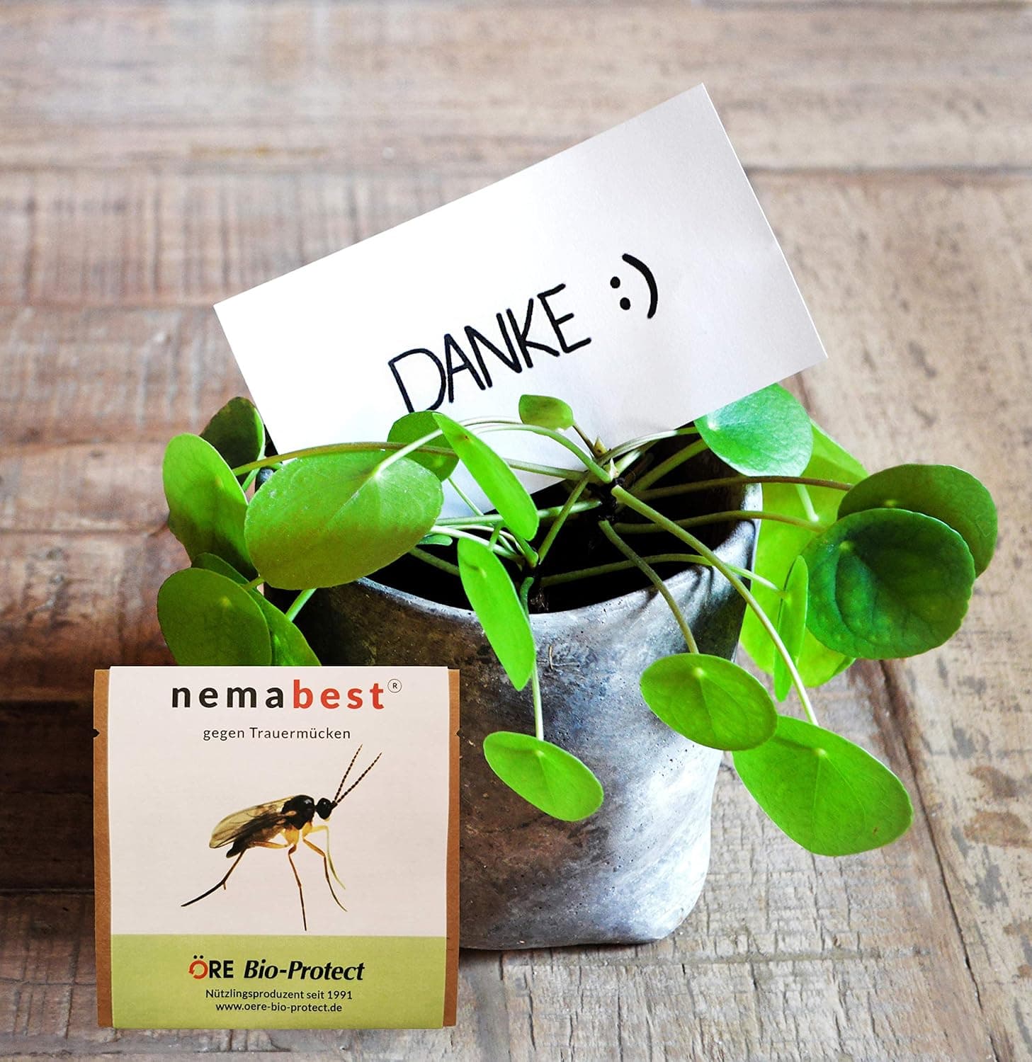 nemabest® SF Nematoden 6 Mio. (60 Pflanzen/12m²) gegen Trauermücken