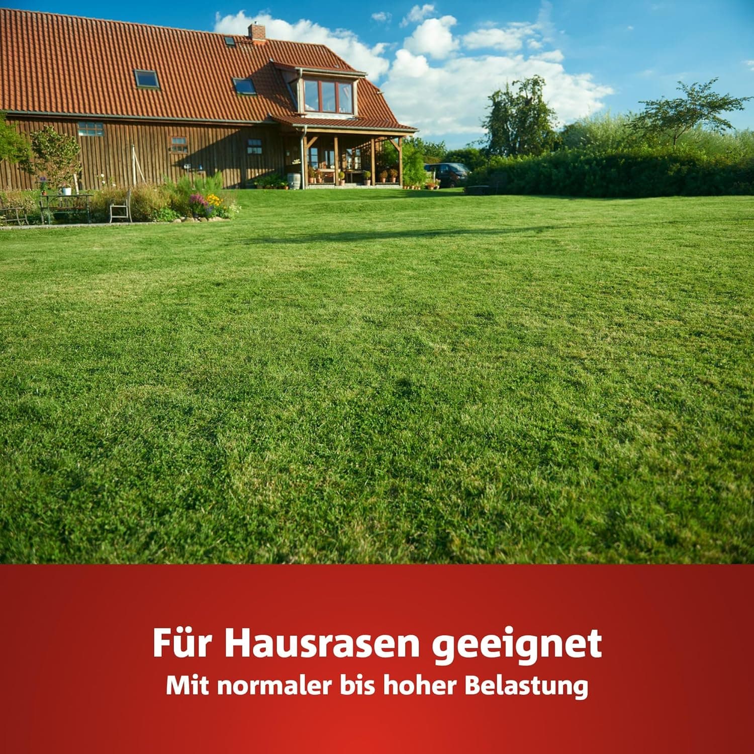 WOLF-Garten Sport- &amp; Spielrasen LG 125 (für 125 m², schnell nutzbar &amp; trittfest, strapazierfähiger Rasen für Sport- &amp; Spielplätze, Hausgarten, für alle Bodenarten geeignet, im 2,5 kg Beutel) 3825020