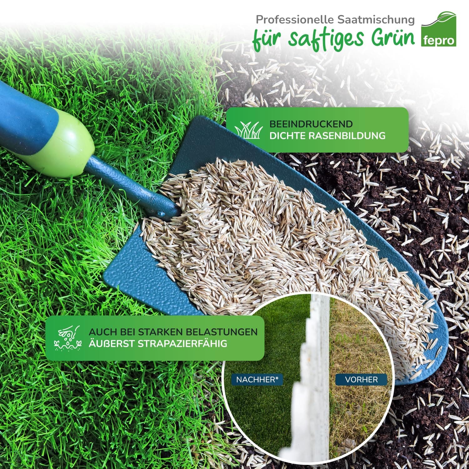 5kg Rasensamen Sport und Spiel schnellkeimend 200m², robust, tiefgrün, ideal für Neuansaat und Nachsaat, Rasensaat Grassamen Frühjahr