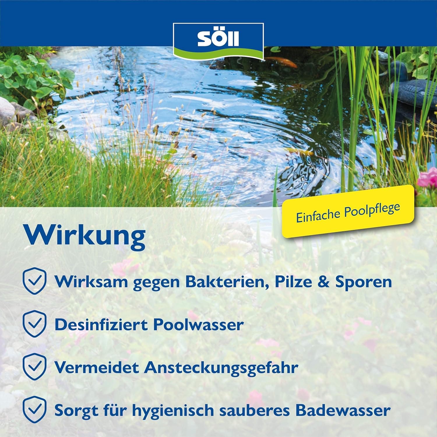 Söll 81456 AquaDes 2,5 l - Pool-Desinfektion, Poolreinigung, Wasserpflege gegen Bakterien und Keime, Desinfektionmittel für Pool Planschbecken Schwimmbecken Kinderpool