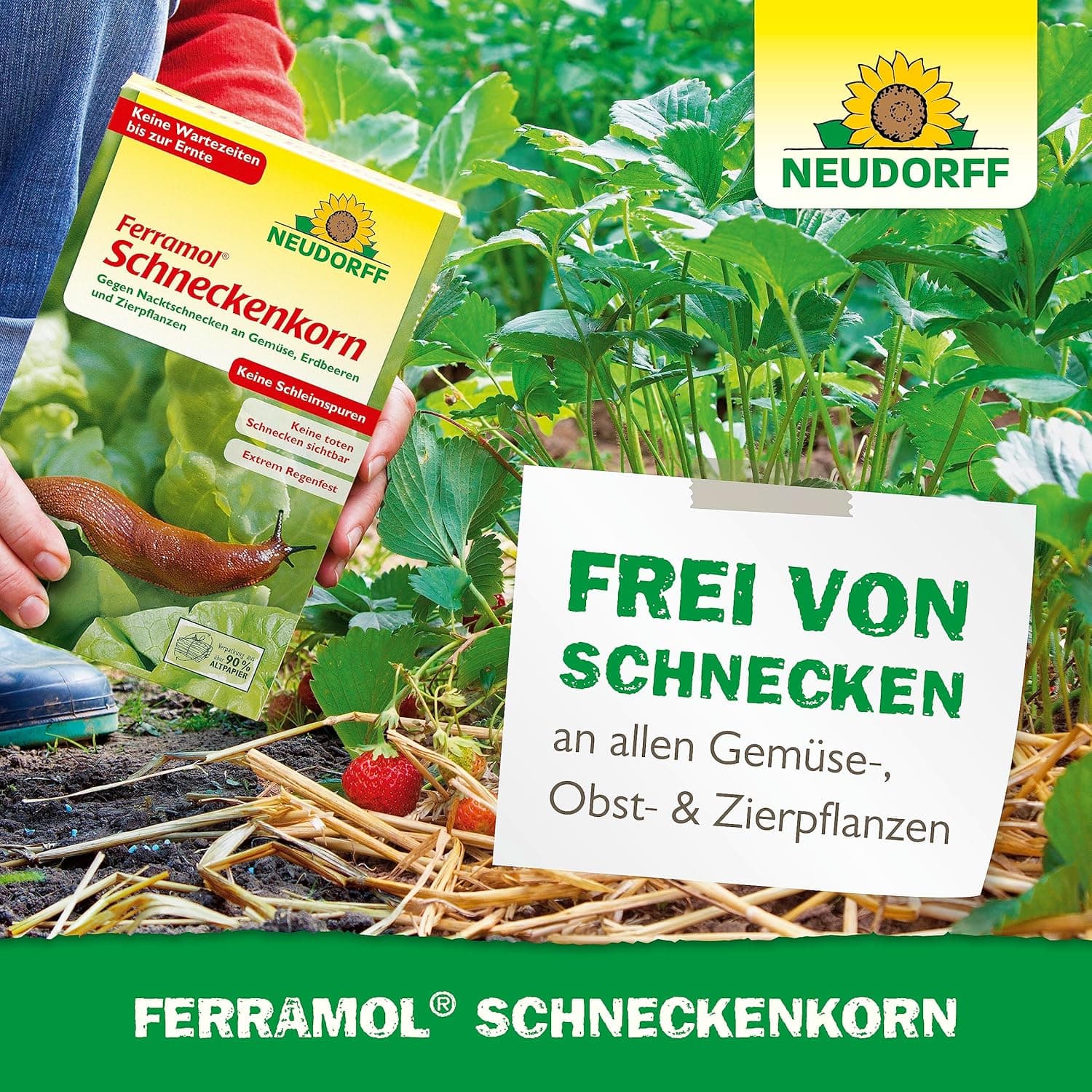Neudorff Ferramol Schneckenkorn – Zuverlässiger und schneller Schneckenschutz - Extrem Regenfest. Keine toten Schnecken sichtbar, keine Schleimspuren. Schonende Rezeptur, 1 kg