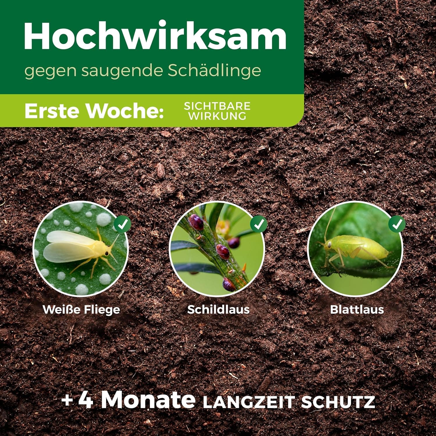 PROTECT GARDEN Lizetan Plus Combistäbchen, Langzeit-Schädlingsfrei und Premium-Dünger in Einem, 20 Stück